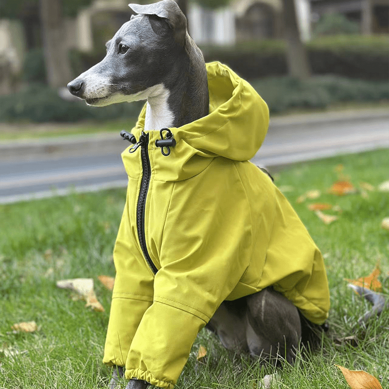 Warm Waterproof Italian Greyhound Raincoat