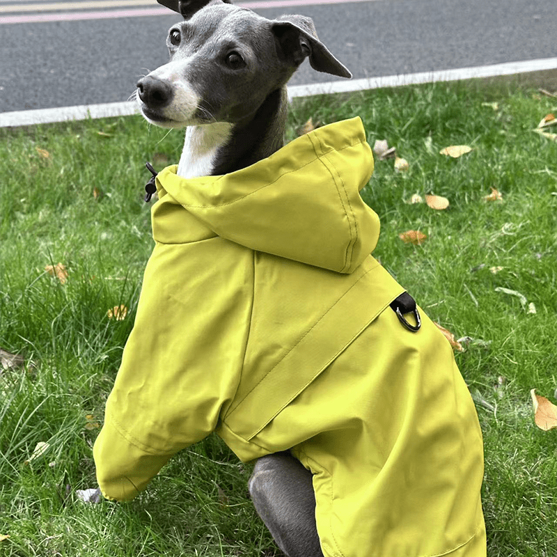 Warm Waterproof Italian Greyhound Raincoat