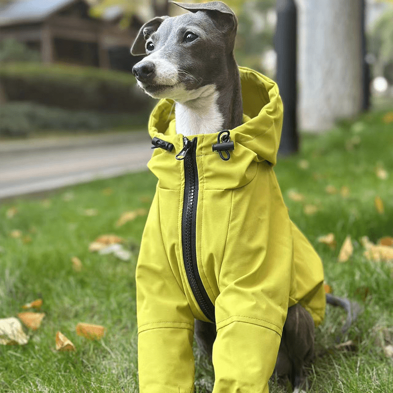 Warm Waterproof Italian Greyhound Raincoat