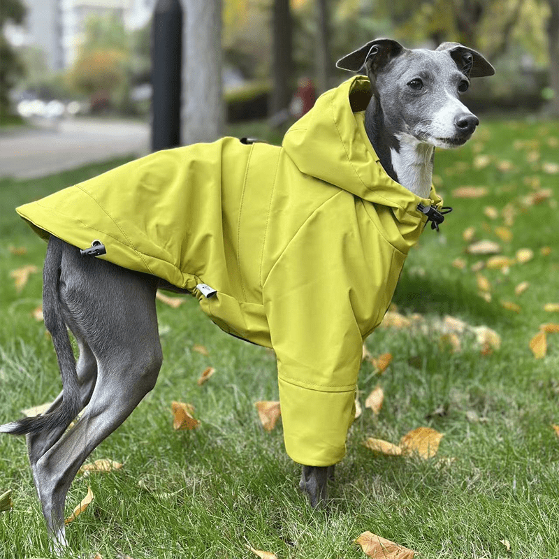 Warm Waterproof Italian Greyhound Raincoat