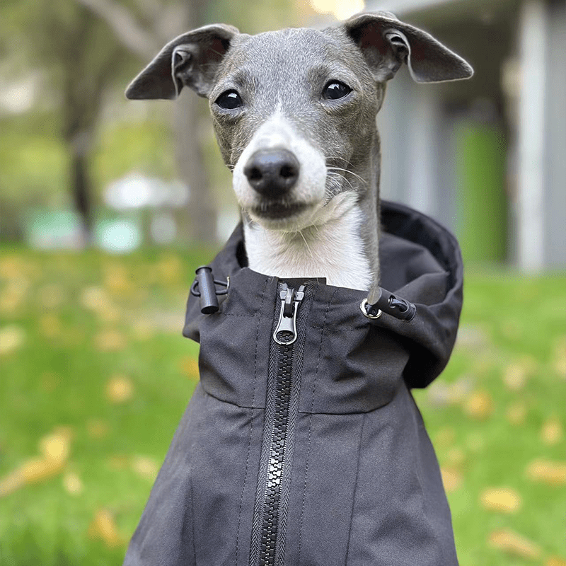 Waterproof Fleece Italian Greyhound Raincoat
