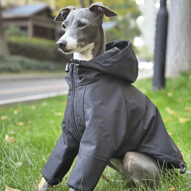 Waterproof Fleece Italian Greyhound Raincoat