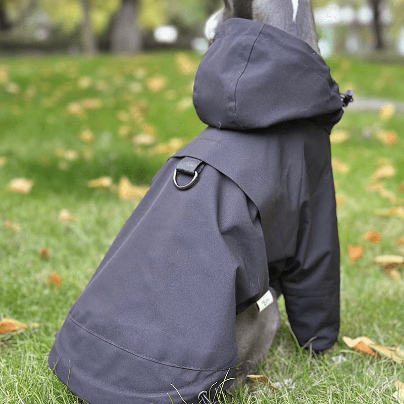 Waterproof Fleece Italian Greyhound Raincoat