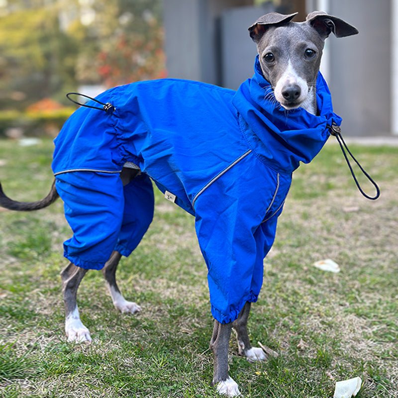 Waterproof Italian Greyhound Raincoat