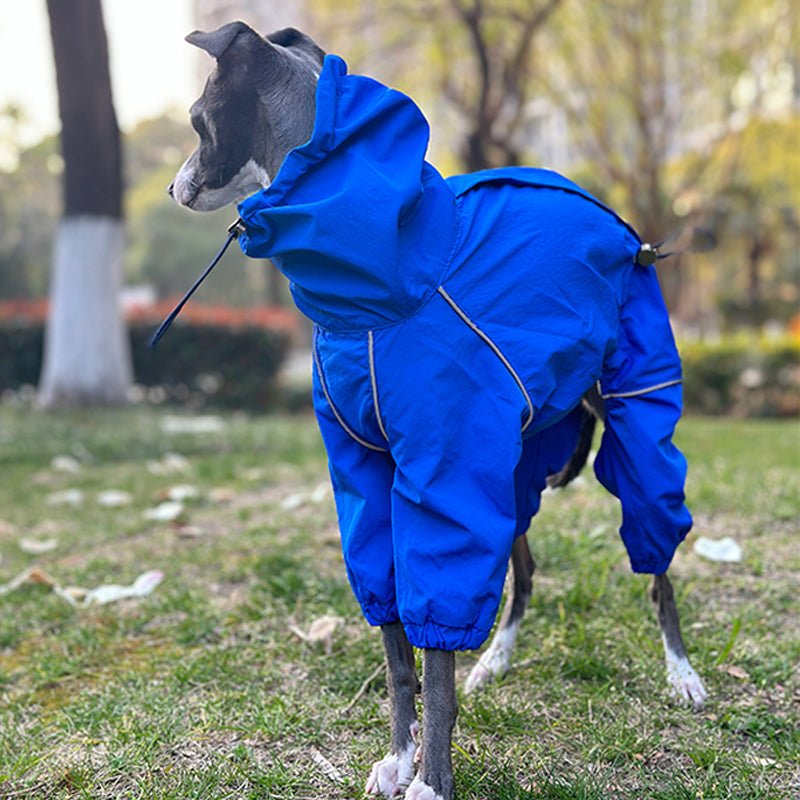 Waterproof Italian Greyhound Raincoat