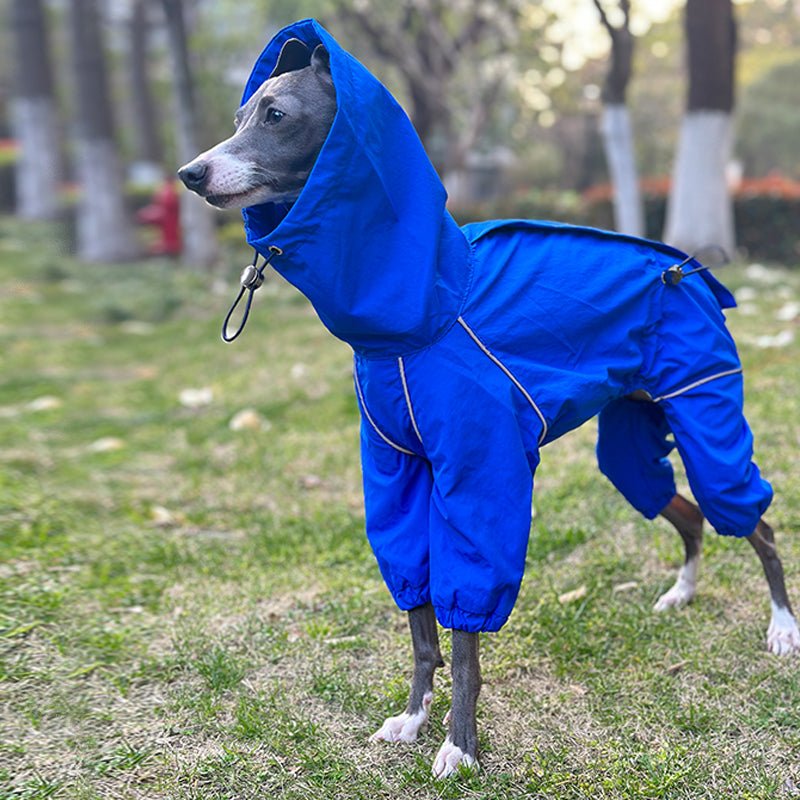Waterproof Italian Greyhound Raincoat