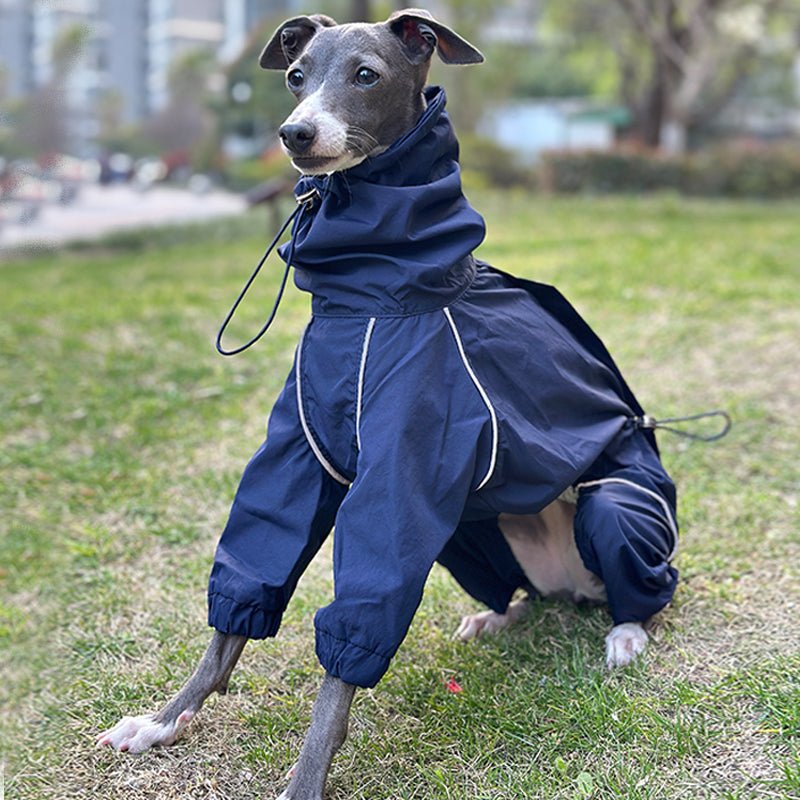Lightweight Waterproof Italian Greyhound Raincoat