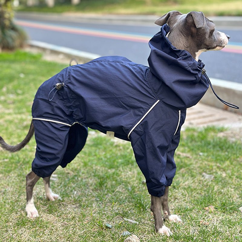 Lightweight Waterproof Italian Greyhound Raincoat