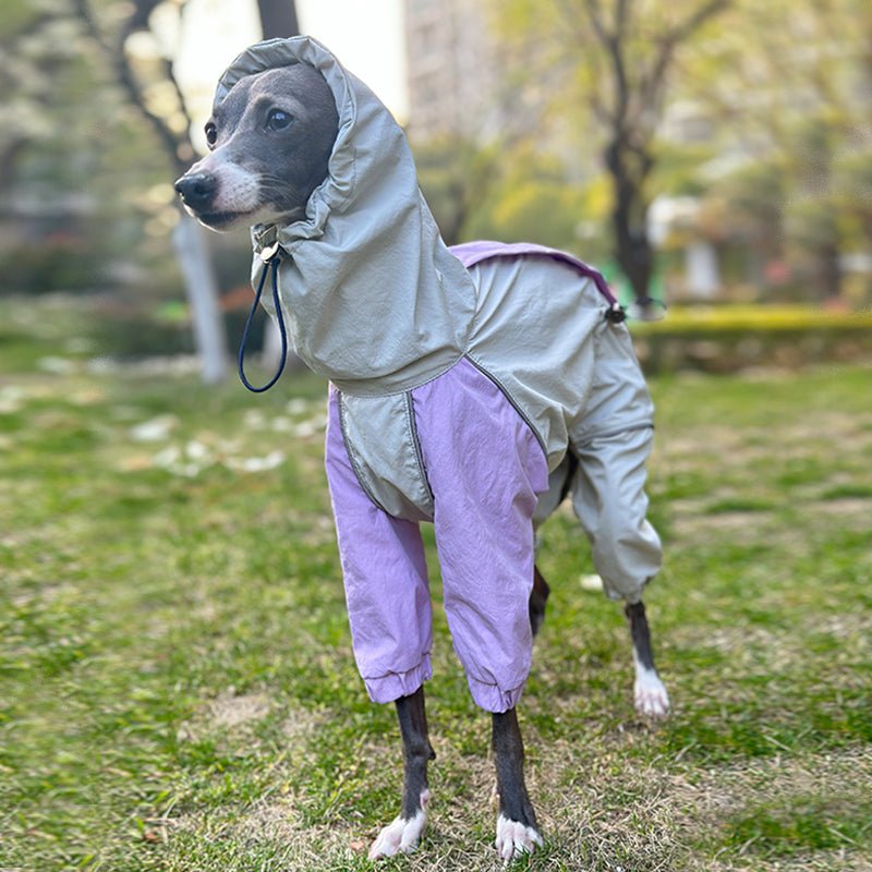 Lightweight Waterproof Italian Dog Raincoat