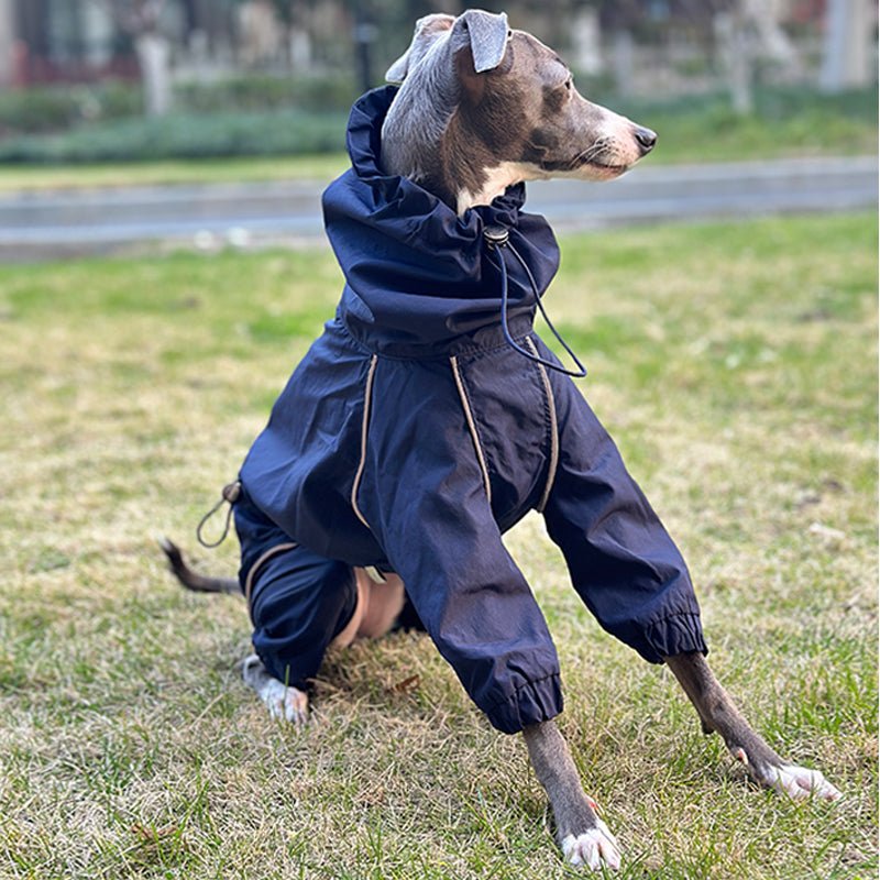Lightweight Waterproof Italian Greyhound Raincoat
