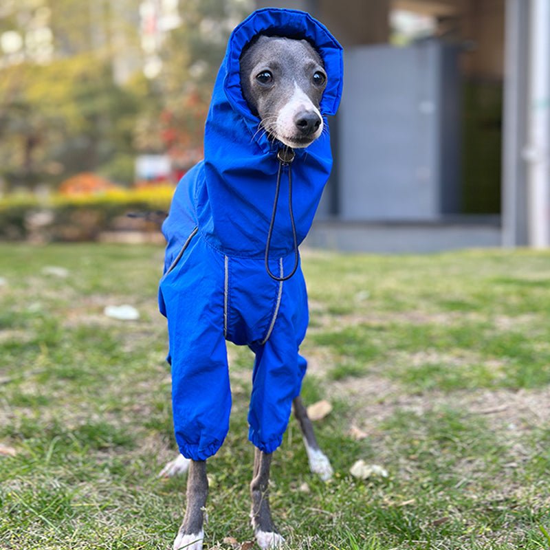 Waterproof Italian Greyhound Raincoat