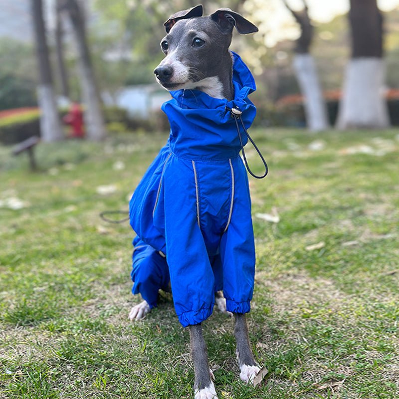 Waterproof Italian Greyhound Raincoat