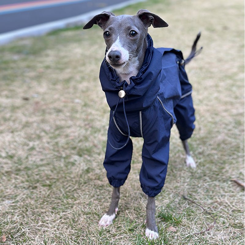 Lightweight Waterproof Italian Greyhound Raincoat