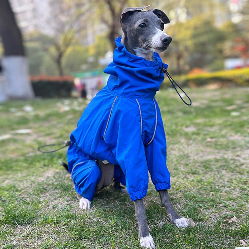 Waterproof Italian Greyhound Raincoat