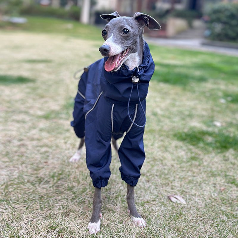 Lightweight Waterproof Italian Greyhound Raincoat