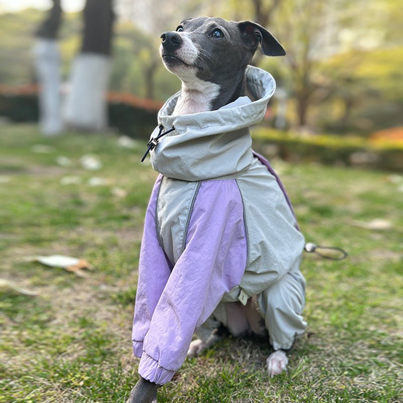 Lightweight Waterproof Italian Dog Raincoat