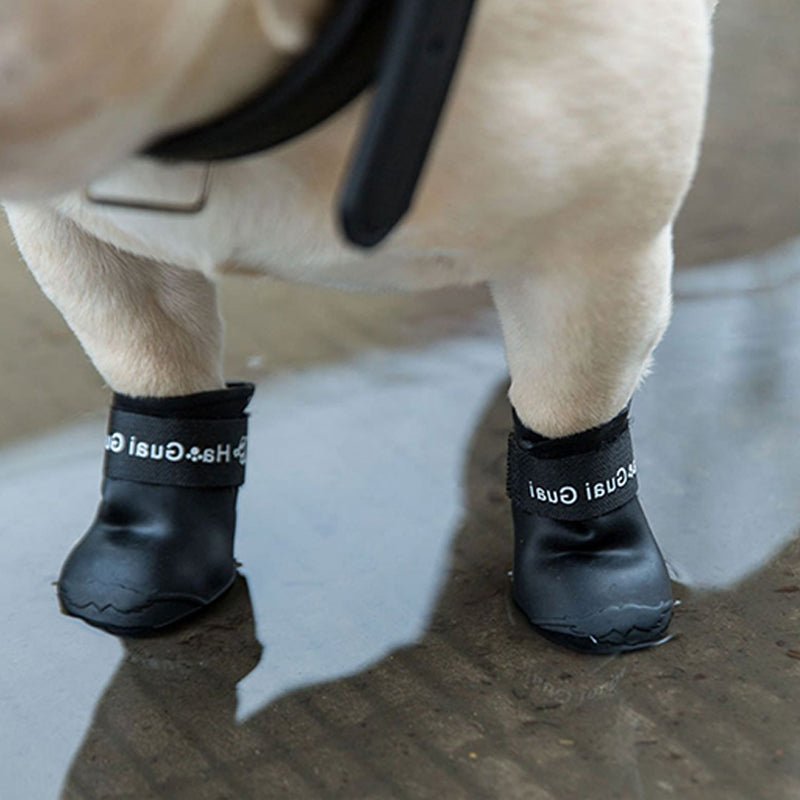 Waterproof Small Medium Dog Shoes