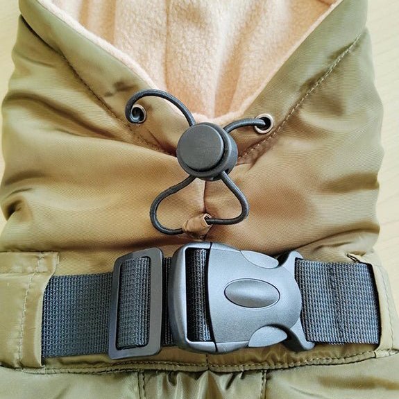 Warm Padded Italian Greyhound Coat