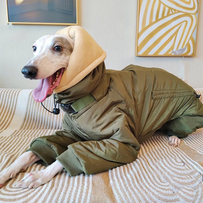 Warm Padded Italian Greyhound Coat