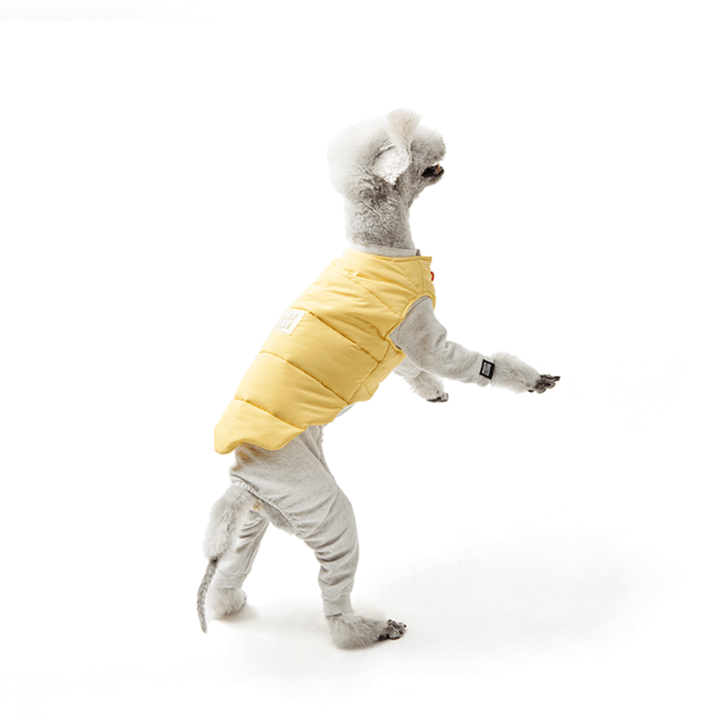 Winter Padded Italian Greyhound Dog Vest