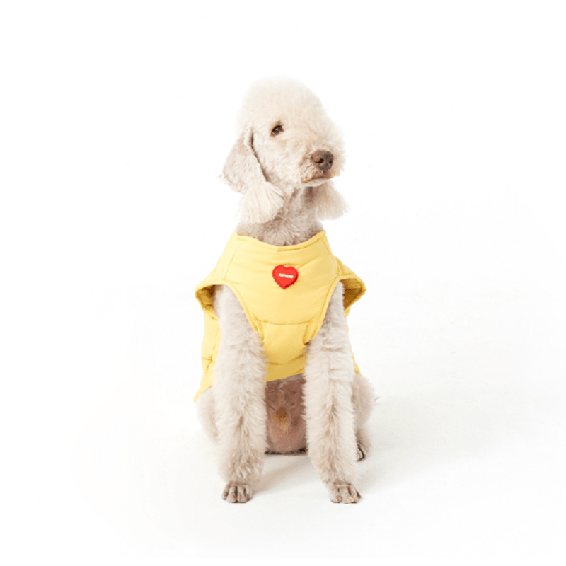 Winter Padded Italian Greyhound Dog Vest