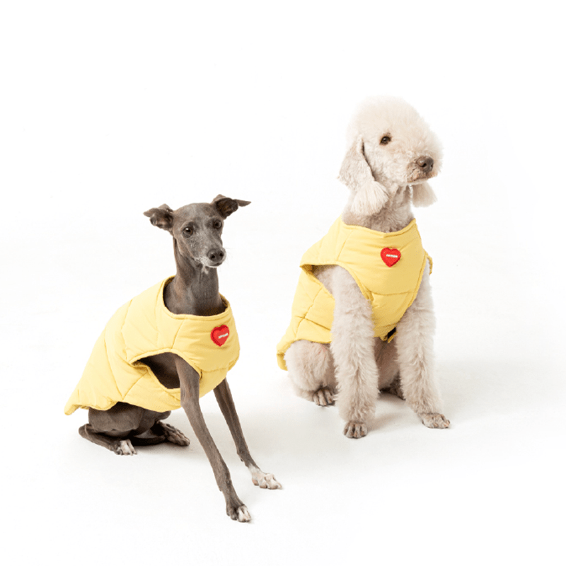 Winter Padded Italian Greyhound Dog Vest