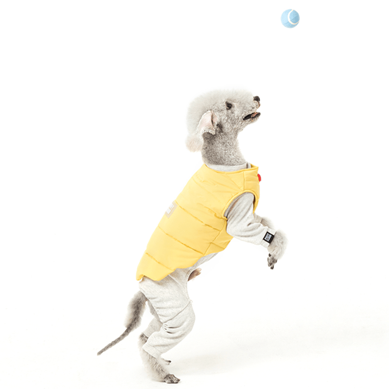 Winter Padded Italian Greyhound Dog Vest