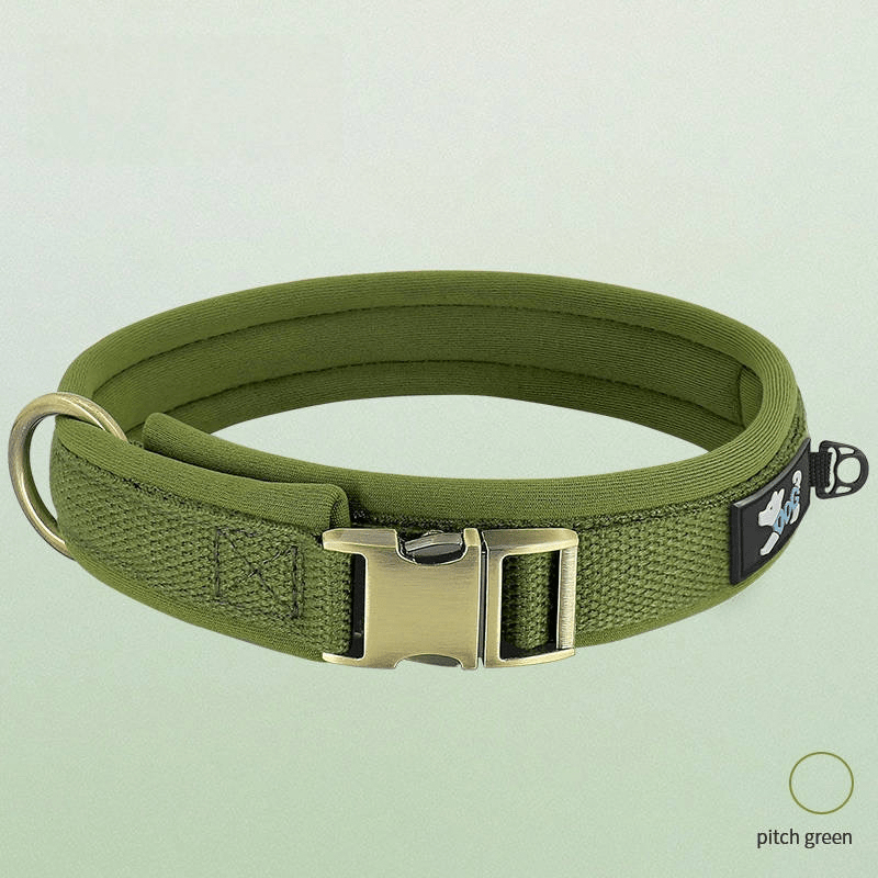 Personalized Anti Lost Dog Collar