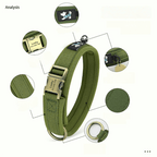 Personalized Anti Lost Dog Collar