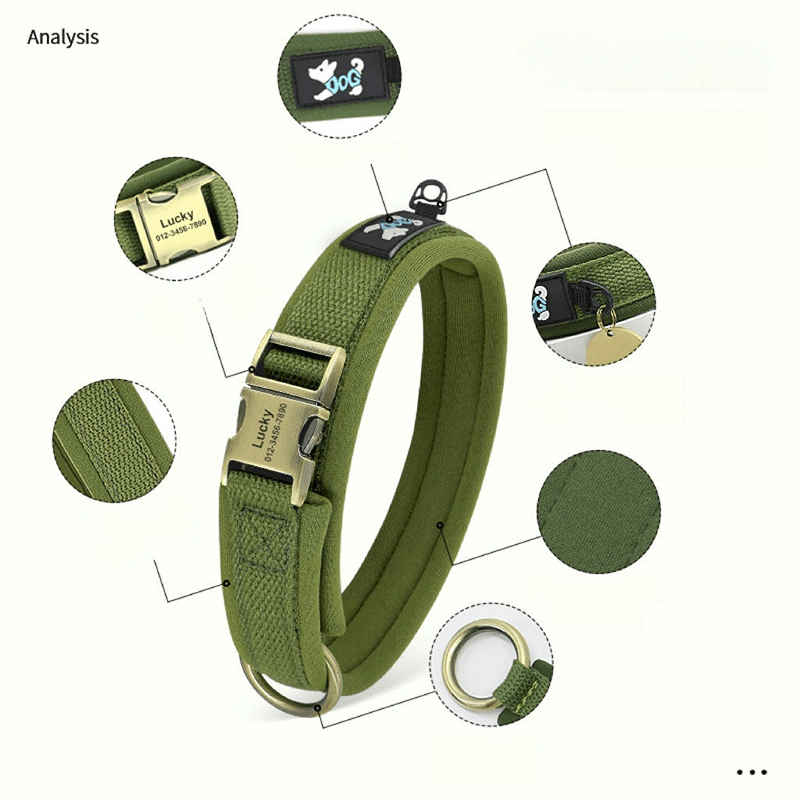 Personalized Anti Lost Dog Collar