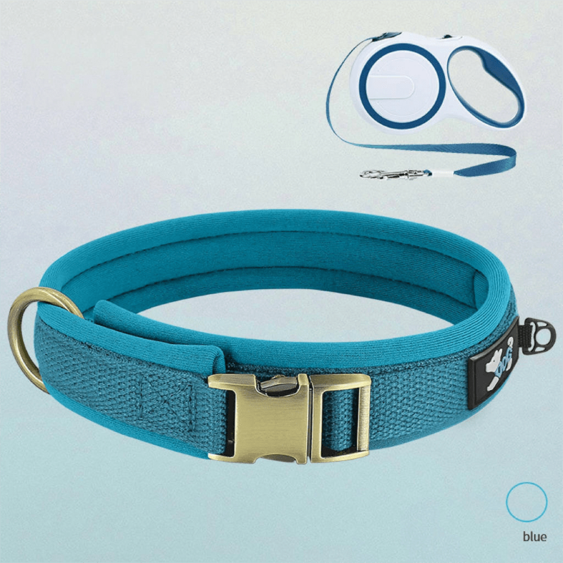 Personalized Anti Lost Dog Collar