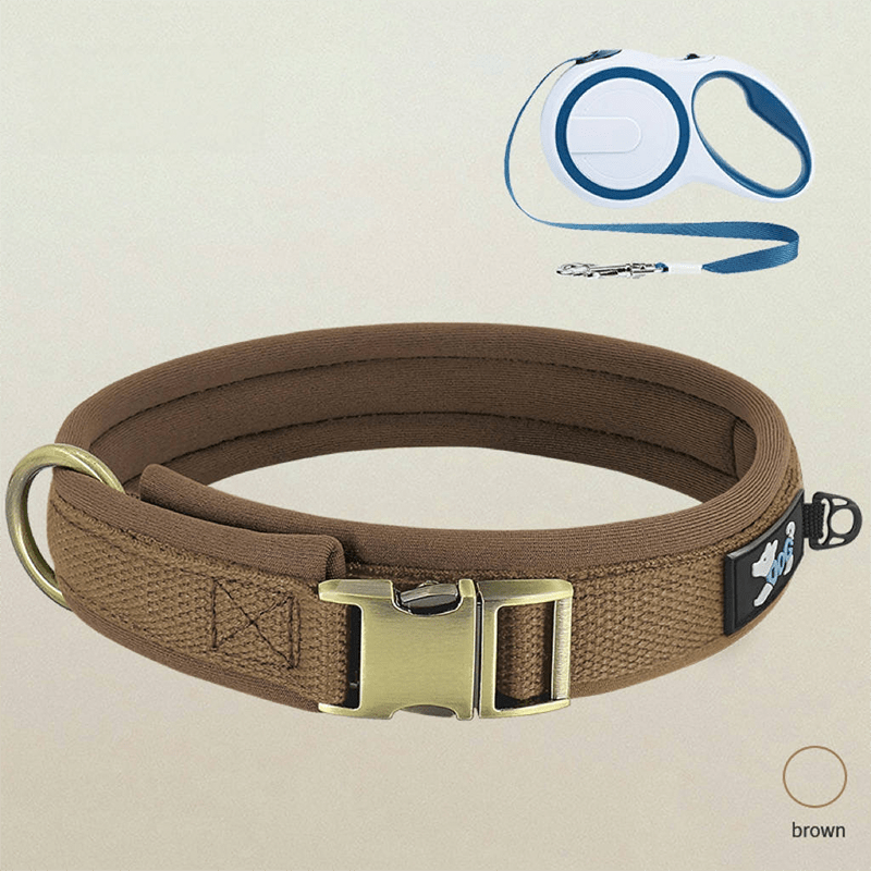 Personalized Anti Lost Dog Collar