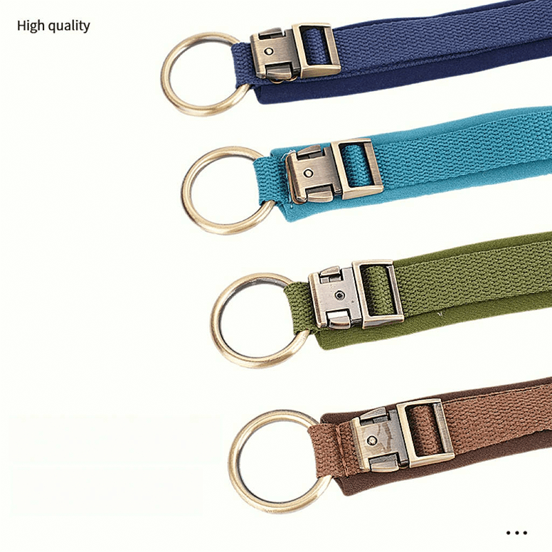 Personalized Anti Lost Dog Collar