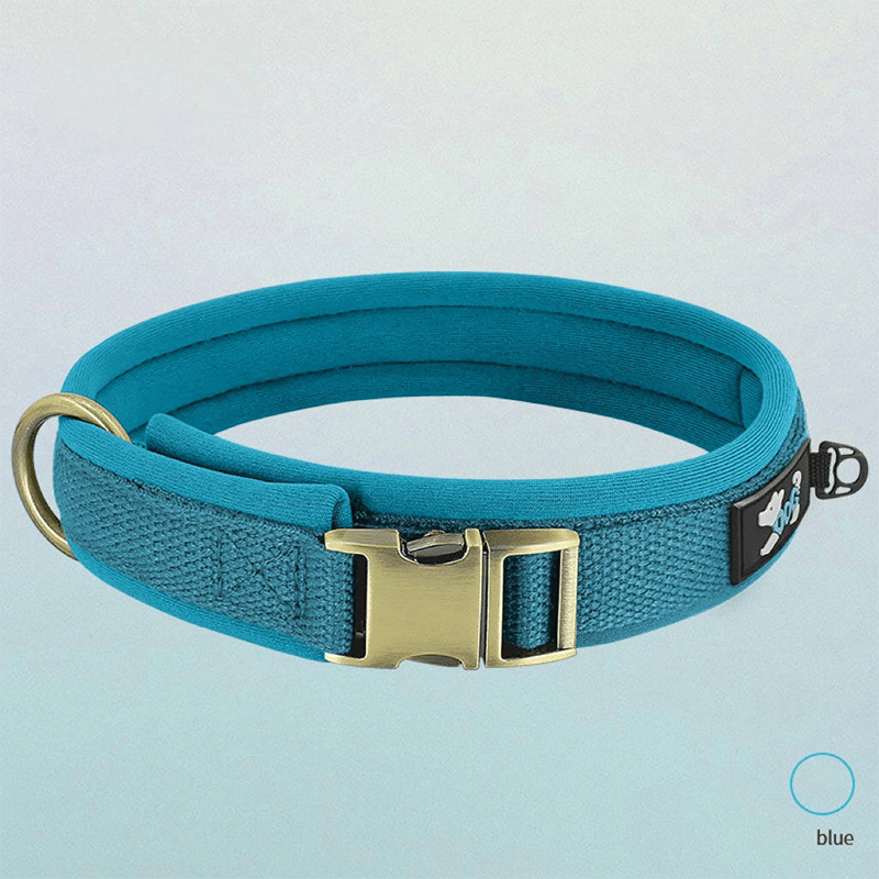 Personalized Anti Lost Dog Collar