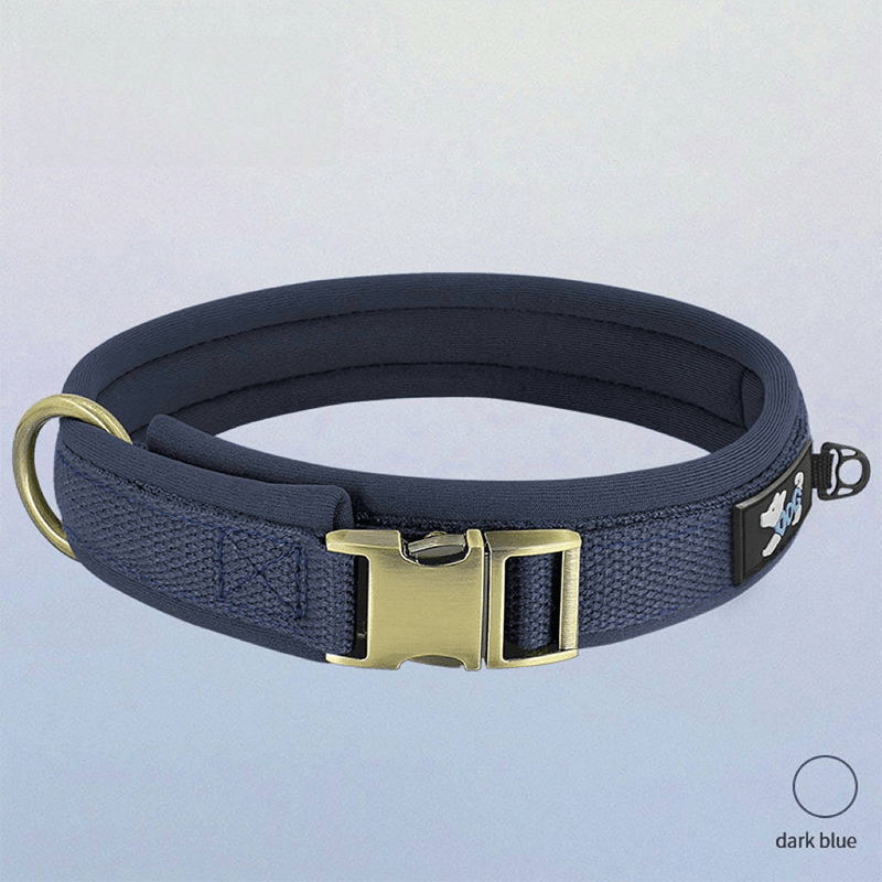 Personalized Anti Lost Dog Collar