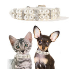 Fashionable Small Dog Pearl Collar