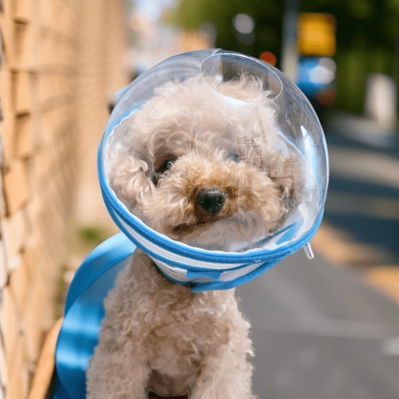 Lightweight Adjustable Dog Anti Bite Mask