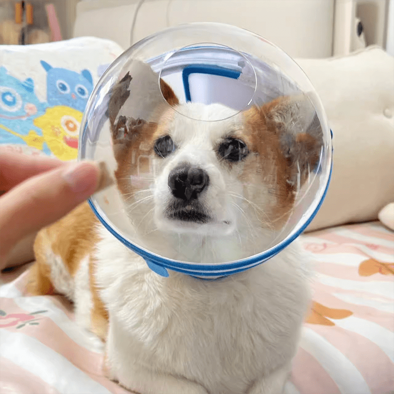 Lightweight Adjustable Dog Anti Bite Mask