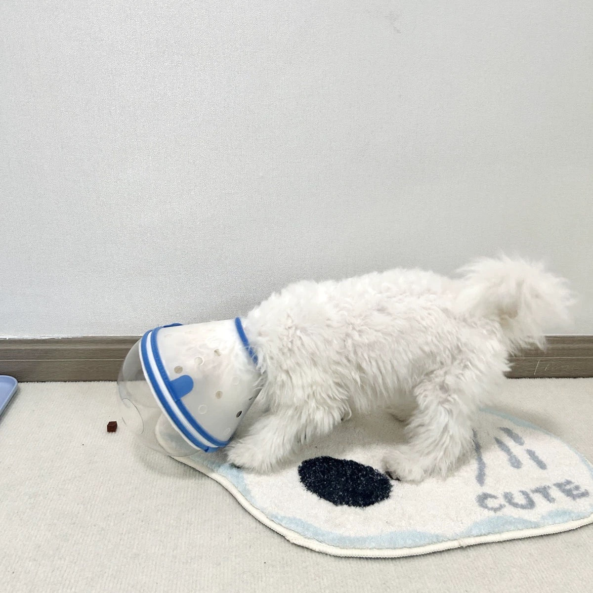 Lightweight Adjustable Dog Anti Bite Mask