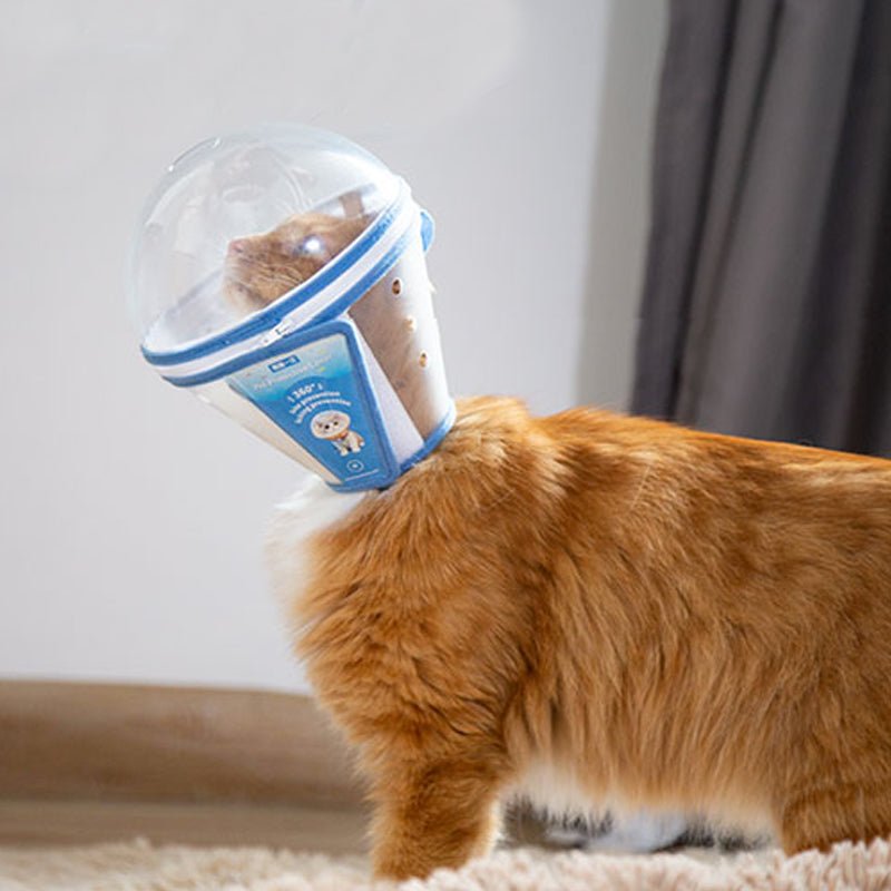 Lightweight Adjustable Dog Anti Bite Mask