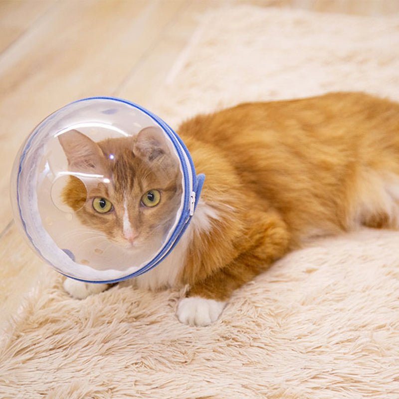 Lightweight Adjustable Dog Anti Bite Mask