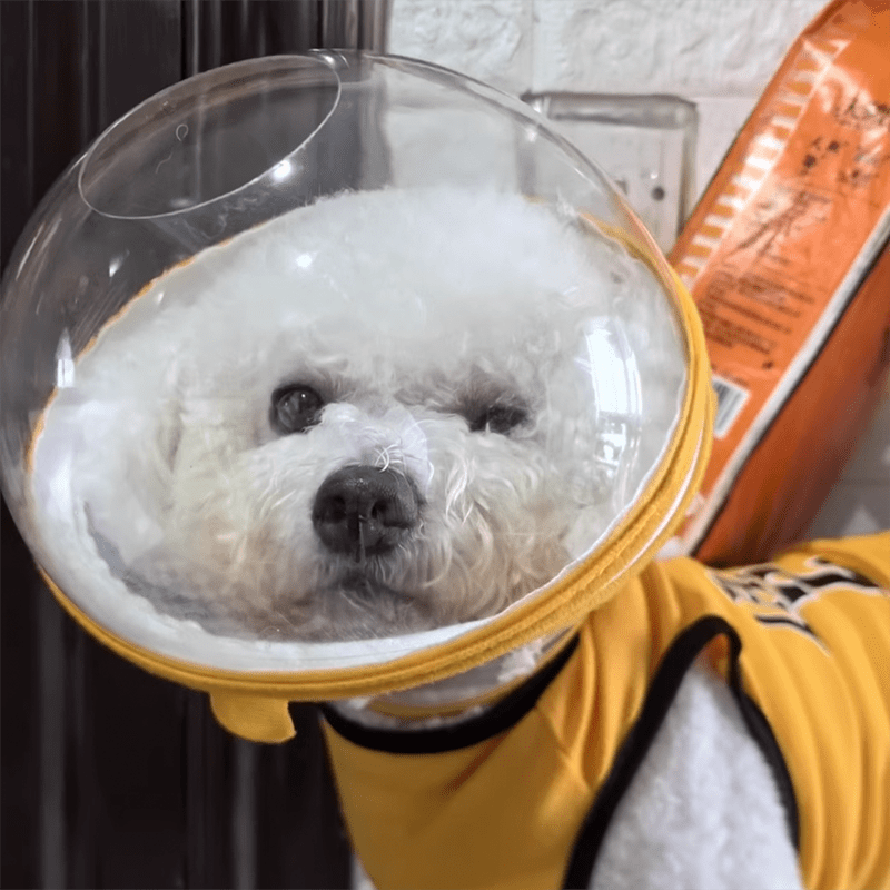 Lightweight Adjustable Dog Anti Bite Mask