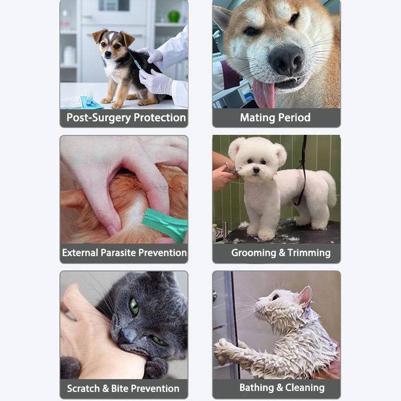 Lightweight Adjustable Dog Anti Bite Mask