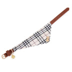 Stylish Dog Bandana Collar Set
