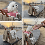 Stylish Comfortable Dog Cat Carrier Seat