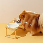 Durable Stainless Steel Cat Double Bowl