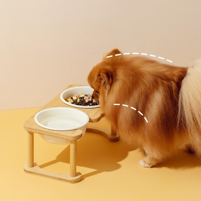 Durable Stainless Steel Cat Double Bowl