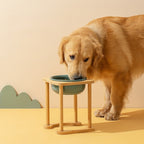 Durable Stainless Steel Cat Double Bowl