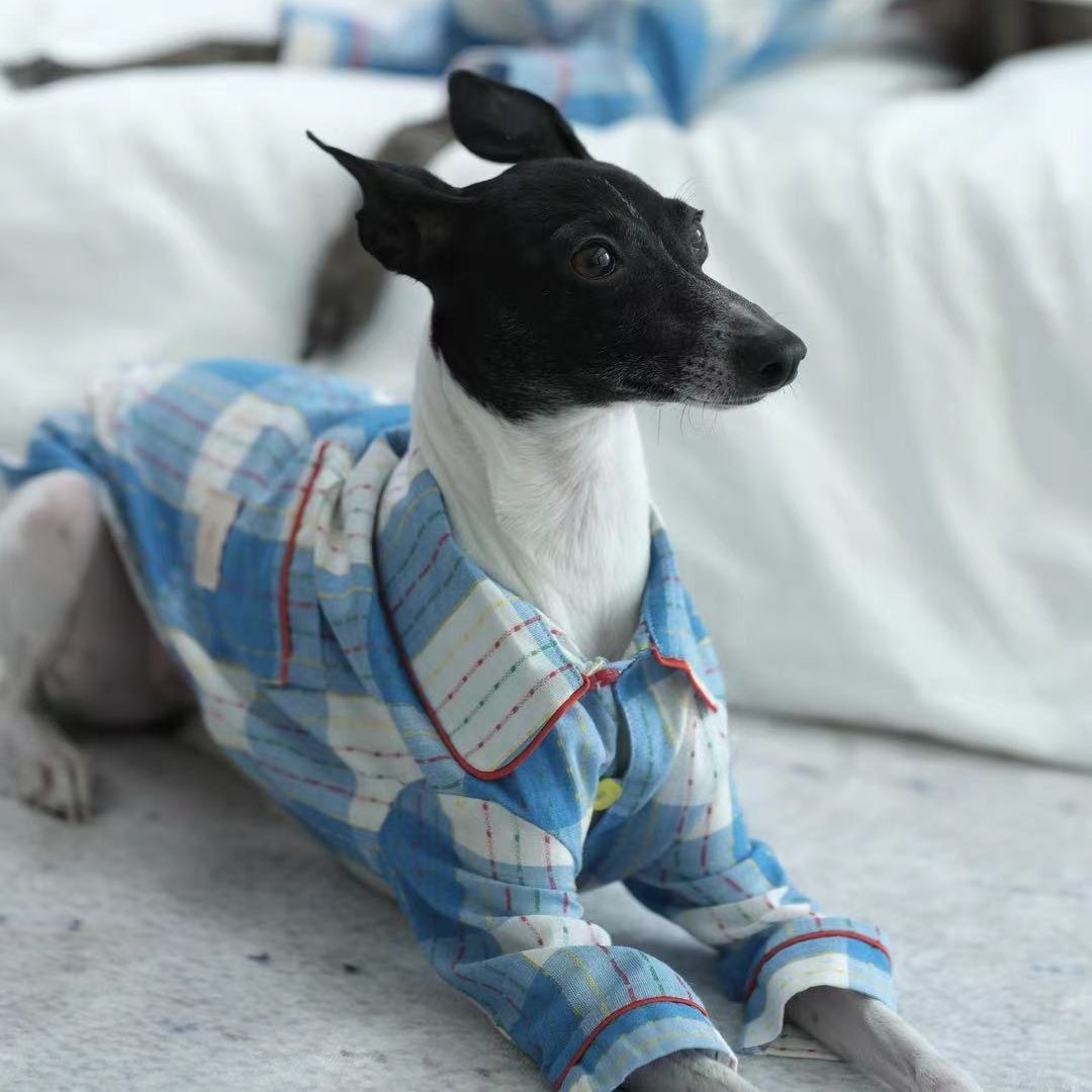 Soft Plaid Cotton Dog Pajamas