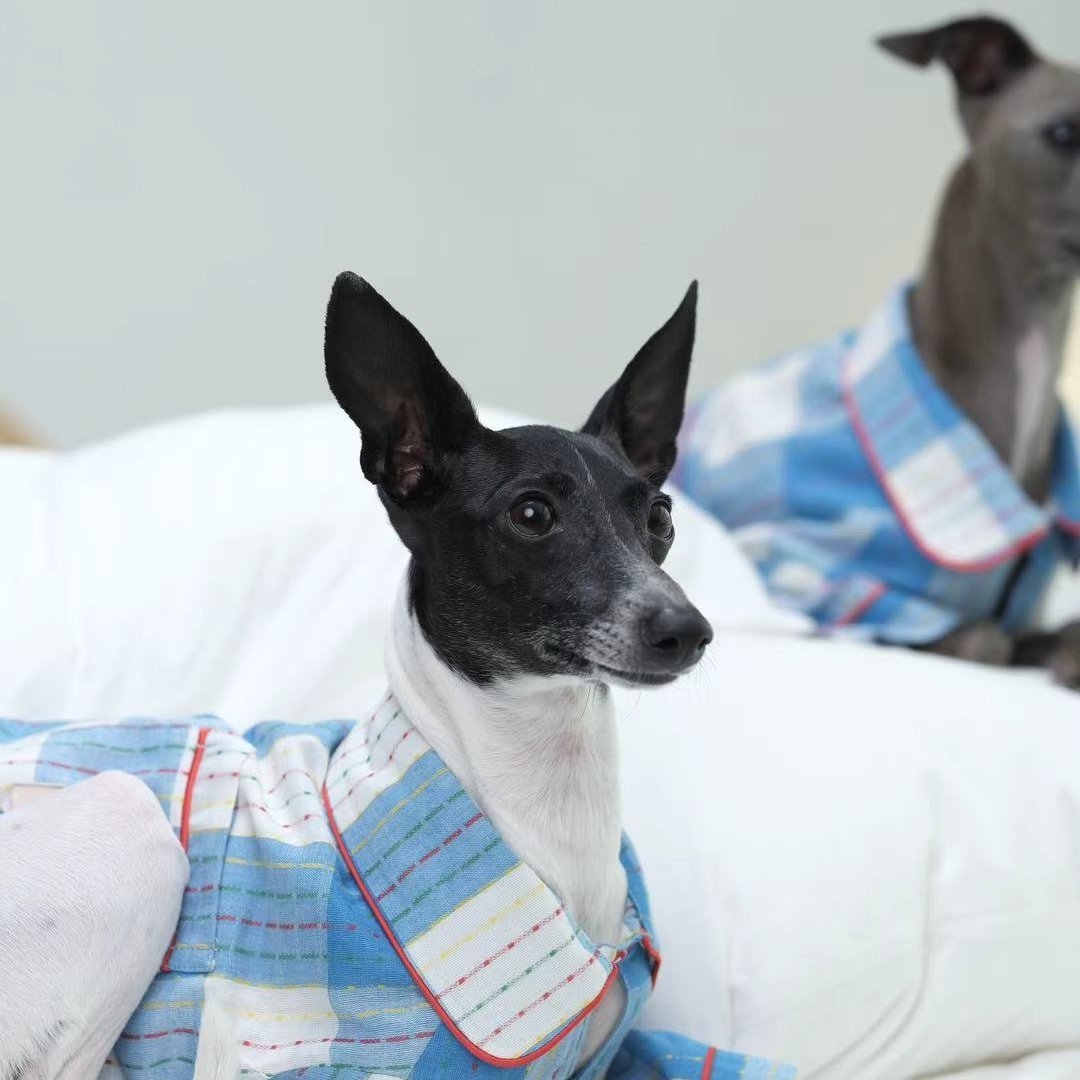 Soft Plaid Cotton Dog Pajamas
